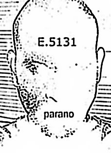 E5131_parano